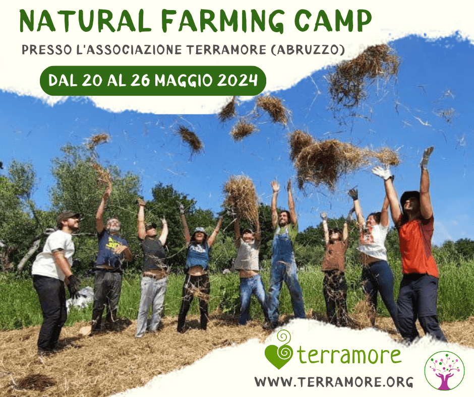 EVENTI TERRAMORE