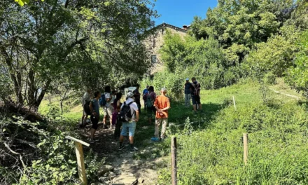 WWOOF meeting in Parma and Seminasiepi second stage