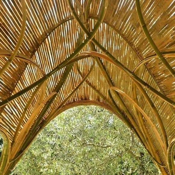Arundo Art APS