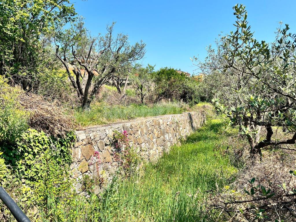 terredigrimaldi2