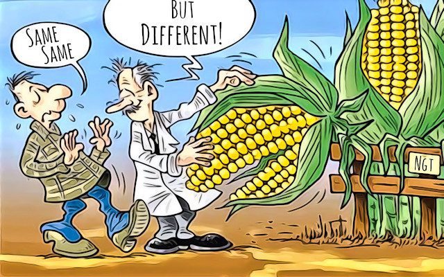 New GMOs. The methods of identification