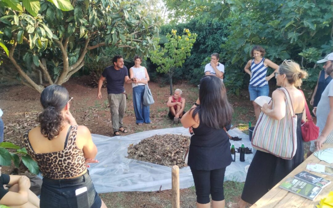 Azione TerrAE Agroecology Training Course.