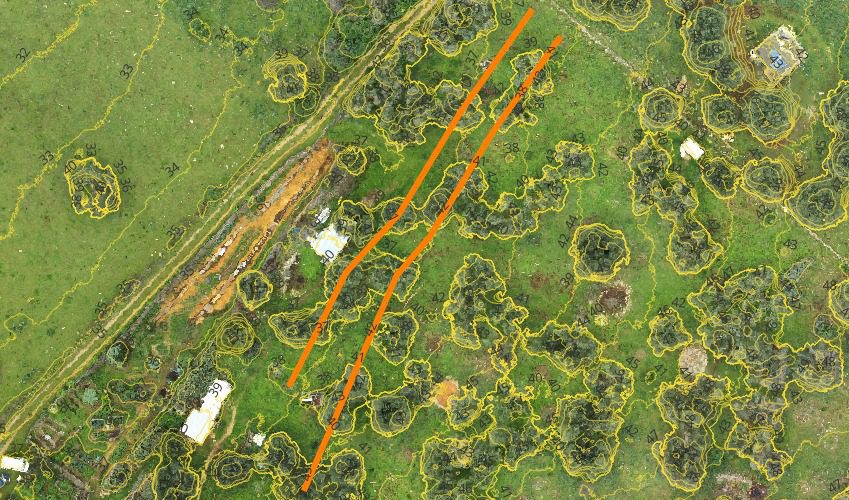 Syntropic agriculture project in the Gargano region
