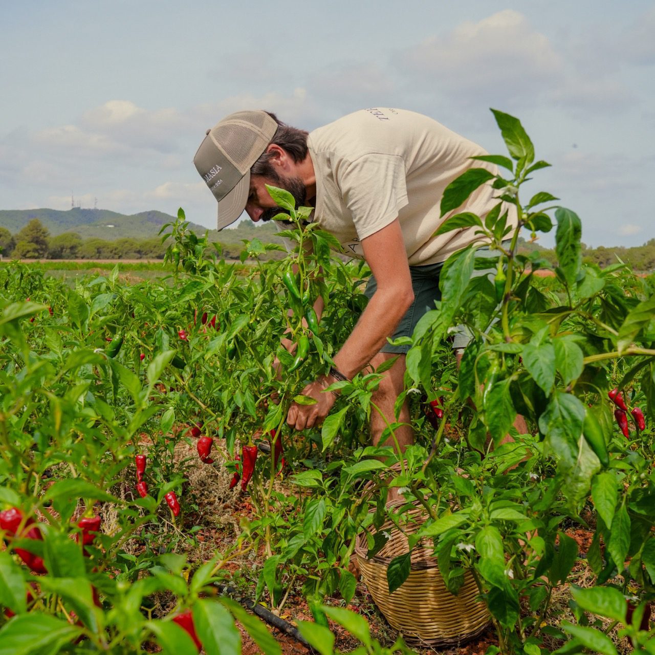 Regenerative agriculture – call for Top 50 Farmers