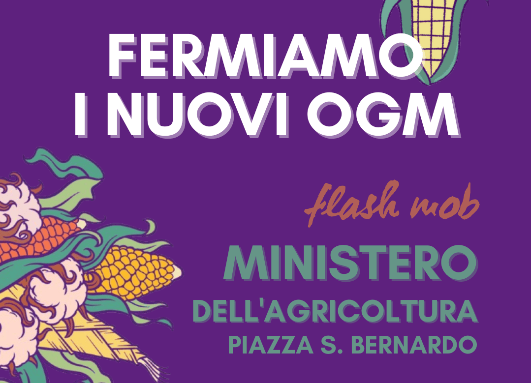 STOP alla deregulation dei nuovi OGM – TEA