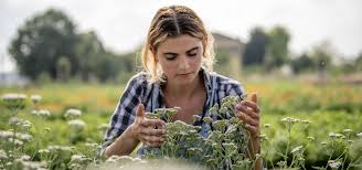 THE GOOD FARMER AWARD – The award dedicated to young farmers under 35.