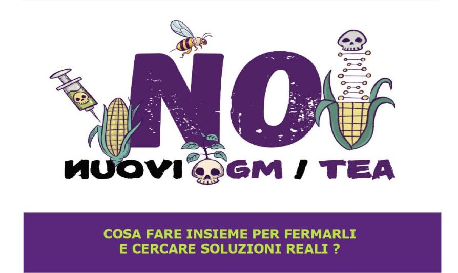 Nuovi OGM/TEA nelle coltivazioni agricole?