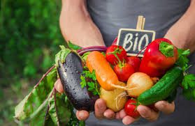 Free Organic Farming Course in Tuscany