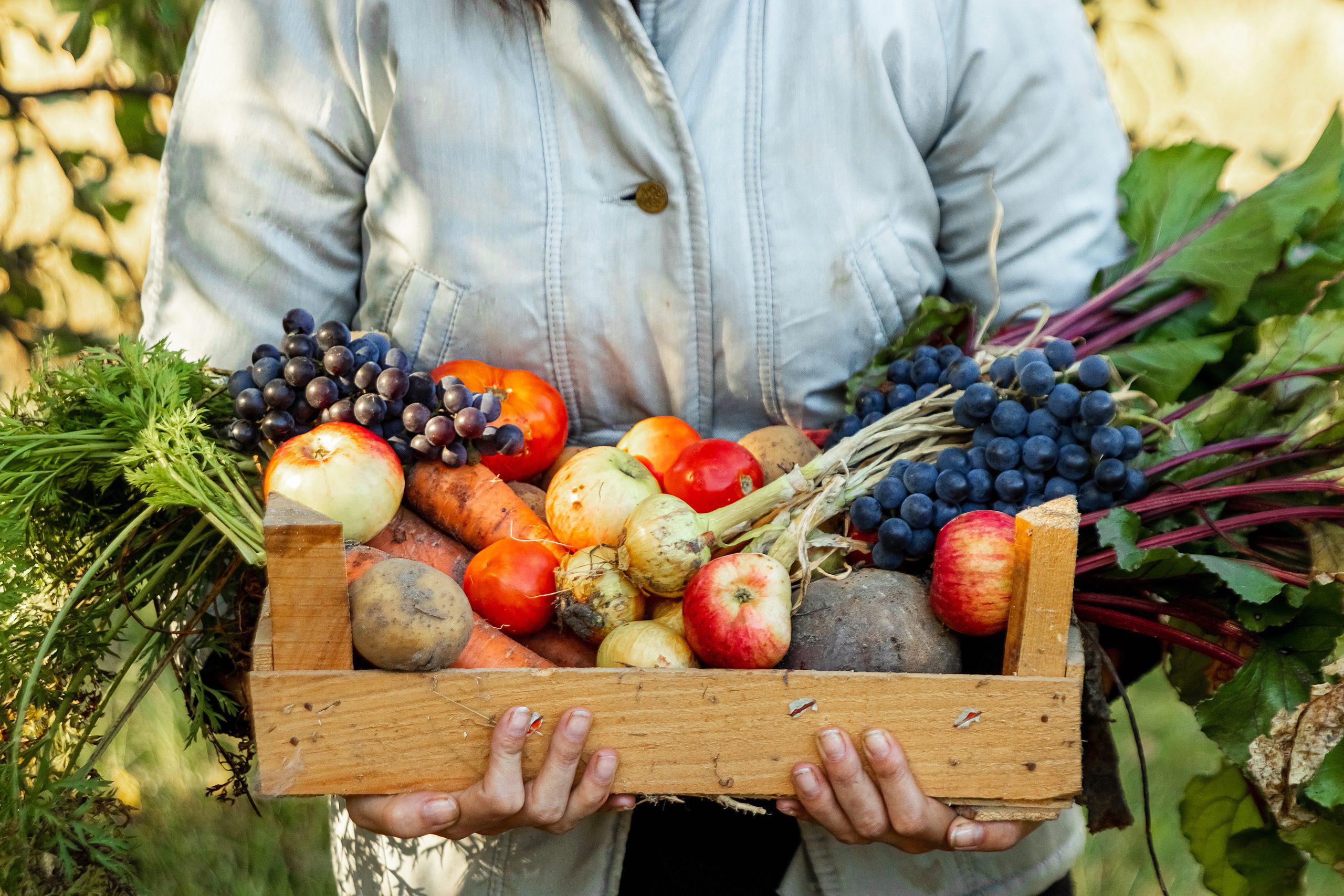 Farmer girl holds in her hands a wooden box with a crop of vegetables and fruits, organic vegetables. The concept of a garden, cottage, harvest.