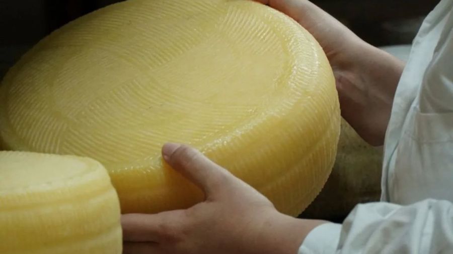 Guidelines for the control of STEC in unpasteurized milk and milk products