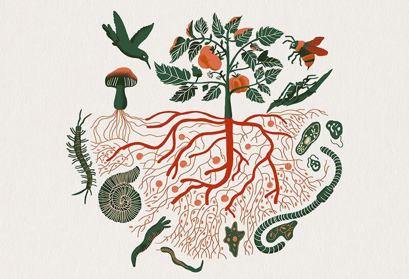 Il Compost – Tecniche, Pratiche e Immaginari