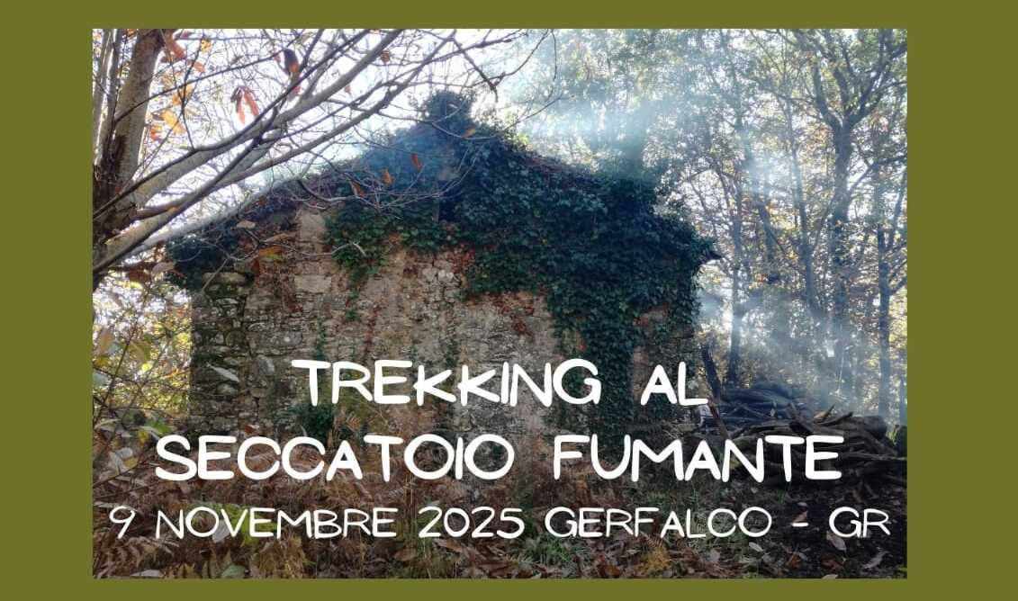 Alla scoperta della Castanicoltura tradizionale