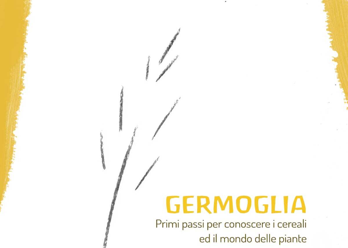 Giovanni Cerrano ci accompagna nell’avvicinamento a piante e cereali