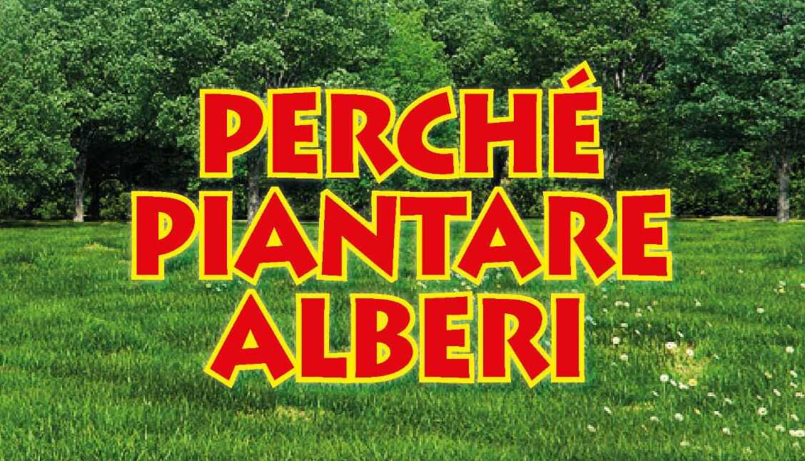 Perché piantare alberi – Conferenza