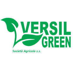 VersilGreen