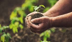 GEA – Gender Equality in Agricoltura
