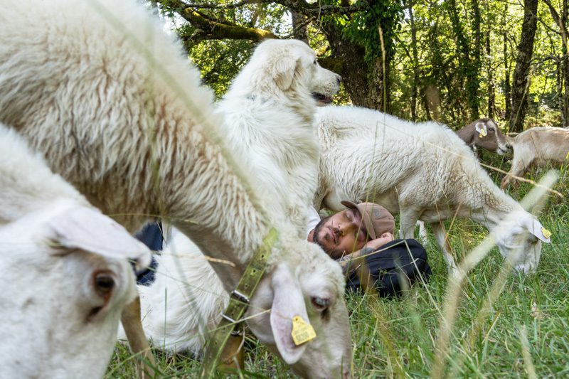 Pasturs 2026: Become a guardian of the highlands in the International Year of Pastures
