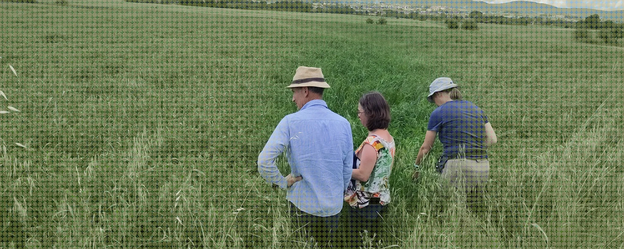 Strumenti e opportunità per diversificare i territori toscani